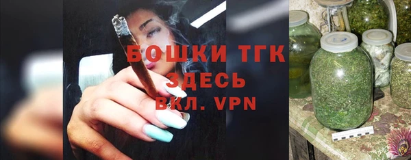 спиды Горняк
