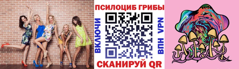 Галлюциногенные грибы мицелий  как найти наркотики  Мещовск 